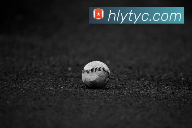 太阳城网站平台生态图