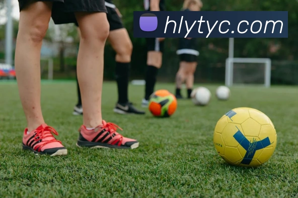 太阳城网站全站App